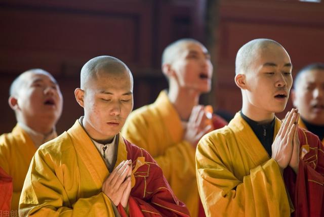 科学研究舍利子到底是什么,从科学角度解答舍利子