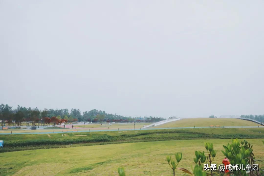 空港运动公园游玩攻略,空港体育公园是空港花田吗