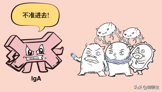 肠道菌群失调最快的调理方法,肠道菌群紊乱如何快速调理