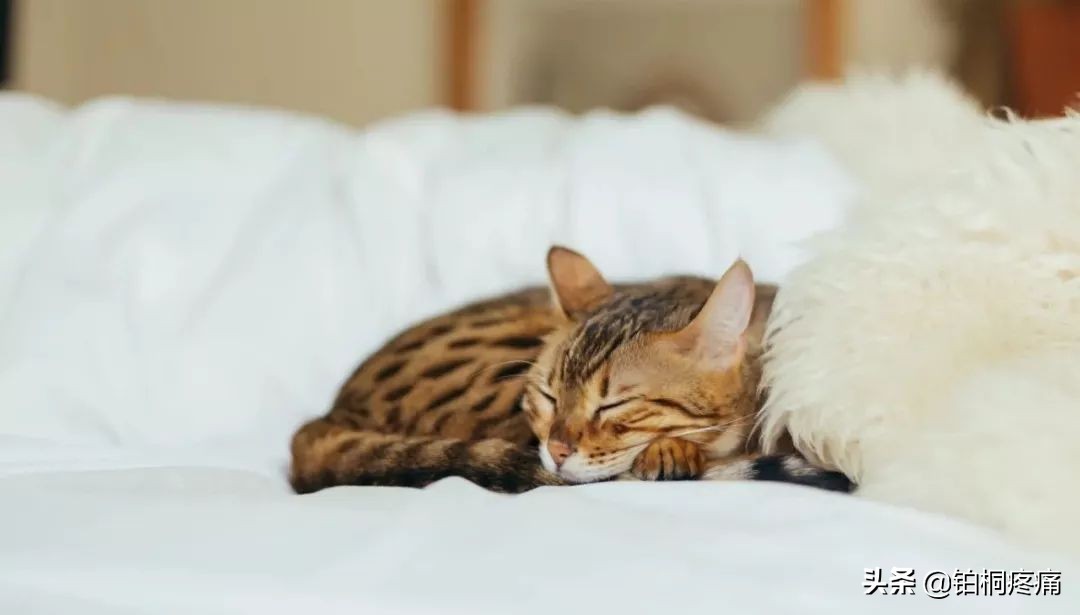 夏天淋雨后头痛怎么办,夏天一吹风就头痛怎么回事