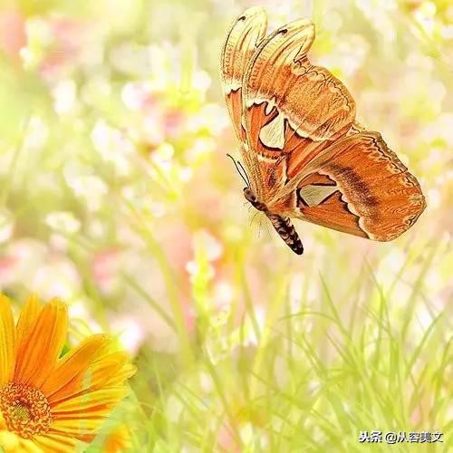 人生感悟的句子简单短句,简单人生感悟的经典句子