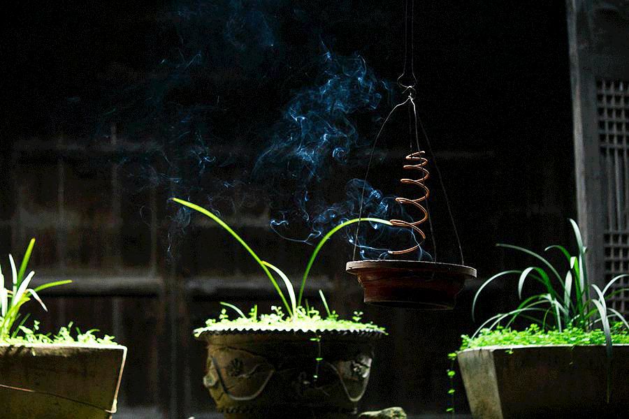 道德经十大天机,道德经十大智慧