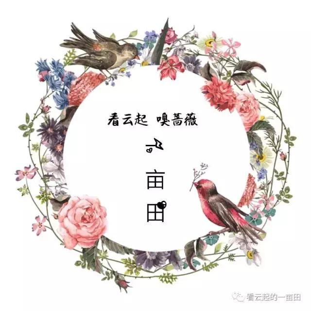 小人书《马兰花》:小时候最大的梦想,是拥有一朵马兰花