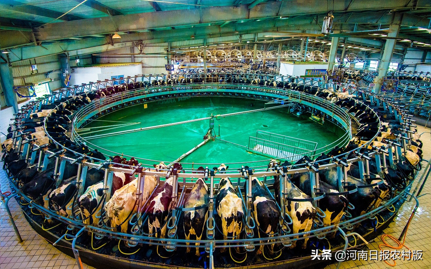 滑县产业扶贫实现四有目标：县有带贫龙头企业、乡有扶贫产业园区、村有产业帮扶基地、户有增收致富门路