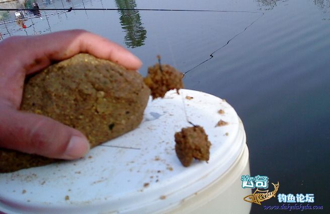 新手钓鱼老是觉得鱼料不行,钓鱼开拉饵的正确方法