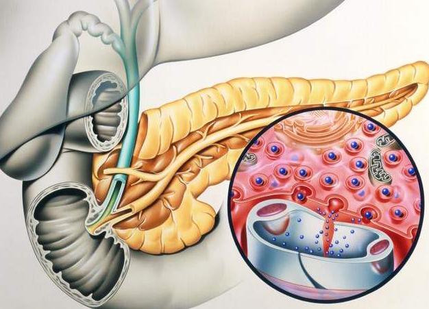 血淀粉酶和尿淀粉酶哪个先升高,血淀粉酶升高一定是胰腺炎吗