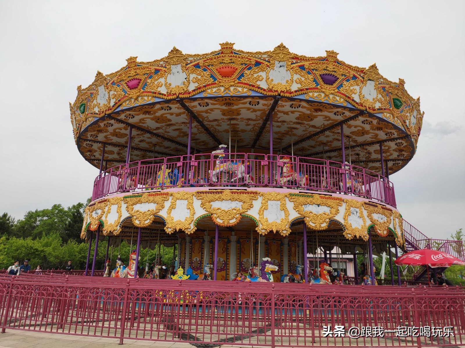 沈阳可以探险的地方,沈阳亲子游丛林探险