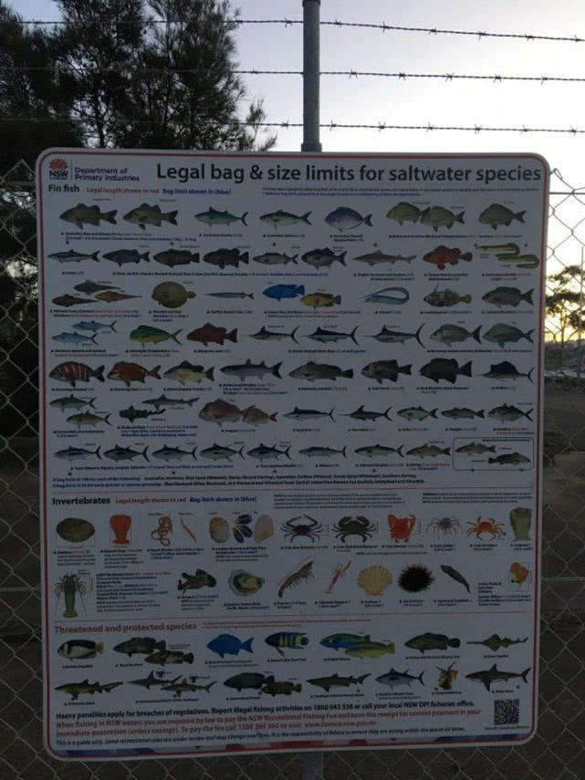 在澳洲的生活是一种怎样的体验：这边的人很懒，非常喜欢钓鱼