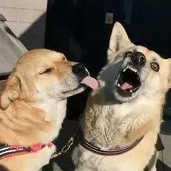 微信为什么不支持30元话费充值,微信怎么交三十元以下的话费