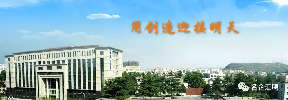 陕西凌云电器集团有限公司怎么样,陕西宝鸡凌云电器集团有限公司