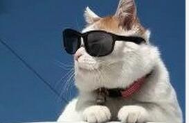 美股和a股的联动关系,美股a股走势的区别图