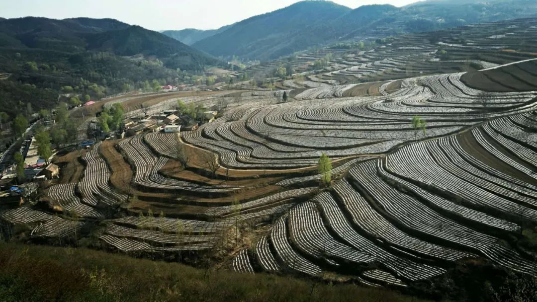 被称为上帝的指纹的图形,上帝的指纹景区
