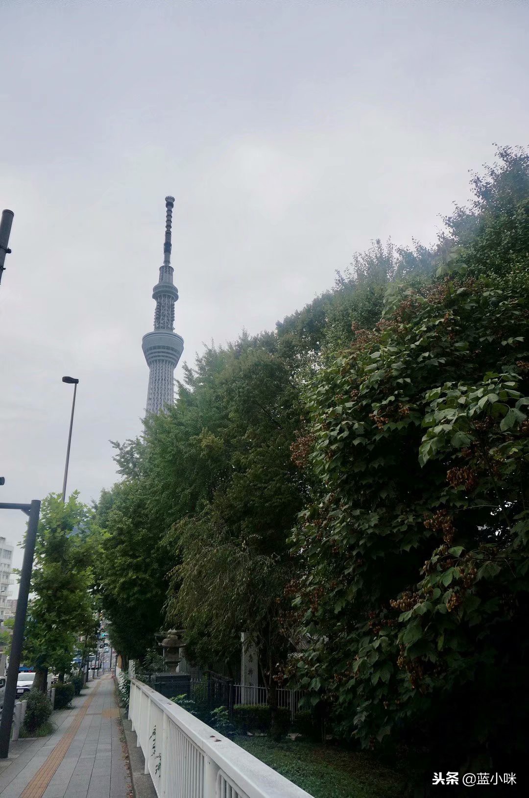 东京富士山镰仓一日游,东京旅游攻略镰仓一日游