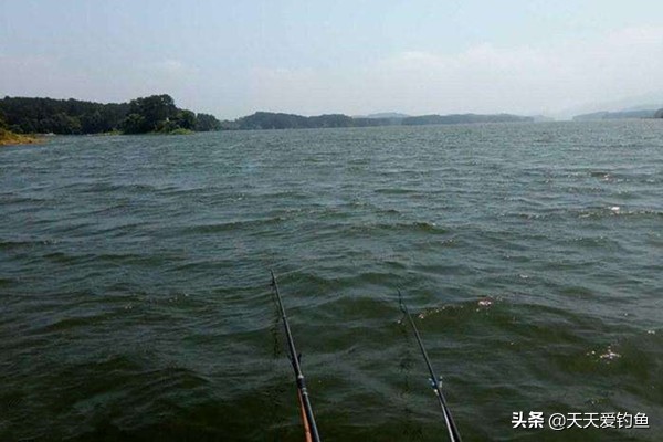 刮风天钓鱼啥风向最好钓,昨天刮风今天钓鱼好钓吗