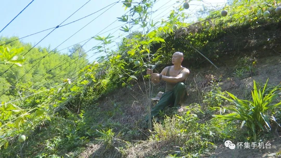 退役军人返乡创业个人简介,退伍军人乡村振兴创业事迹