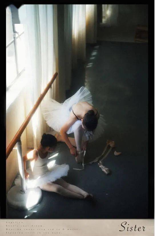 小白新手入手佳能,值得新手入门的佳能