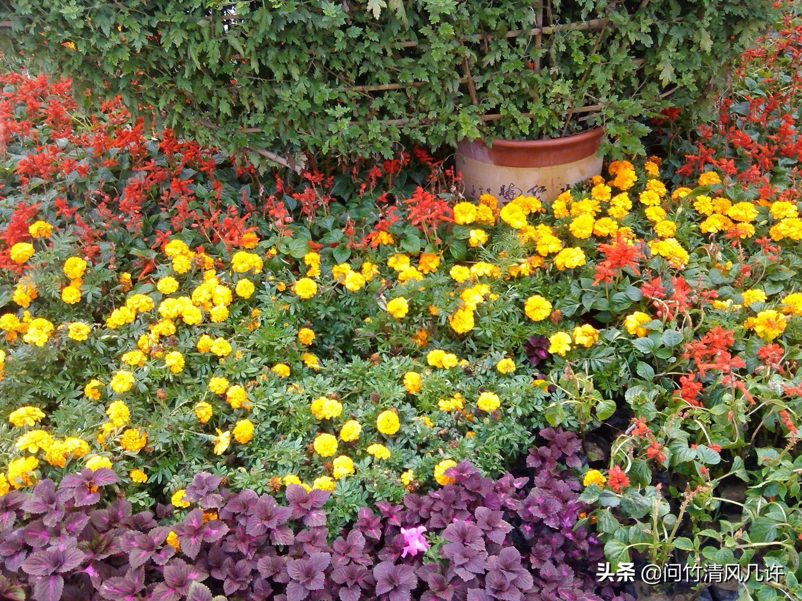 滕州历史文化古城,滕州古城在什么地方