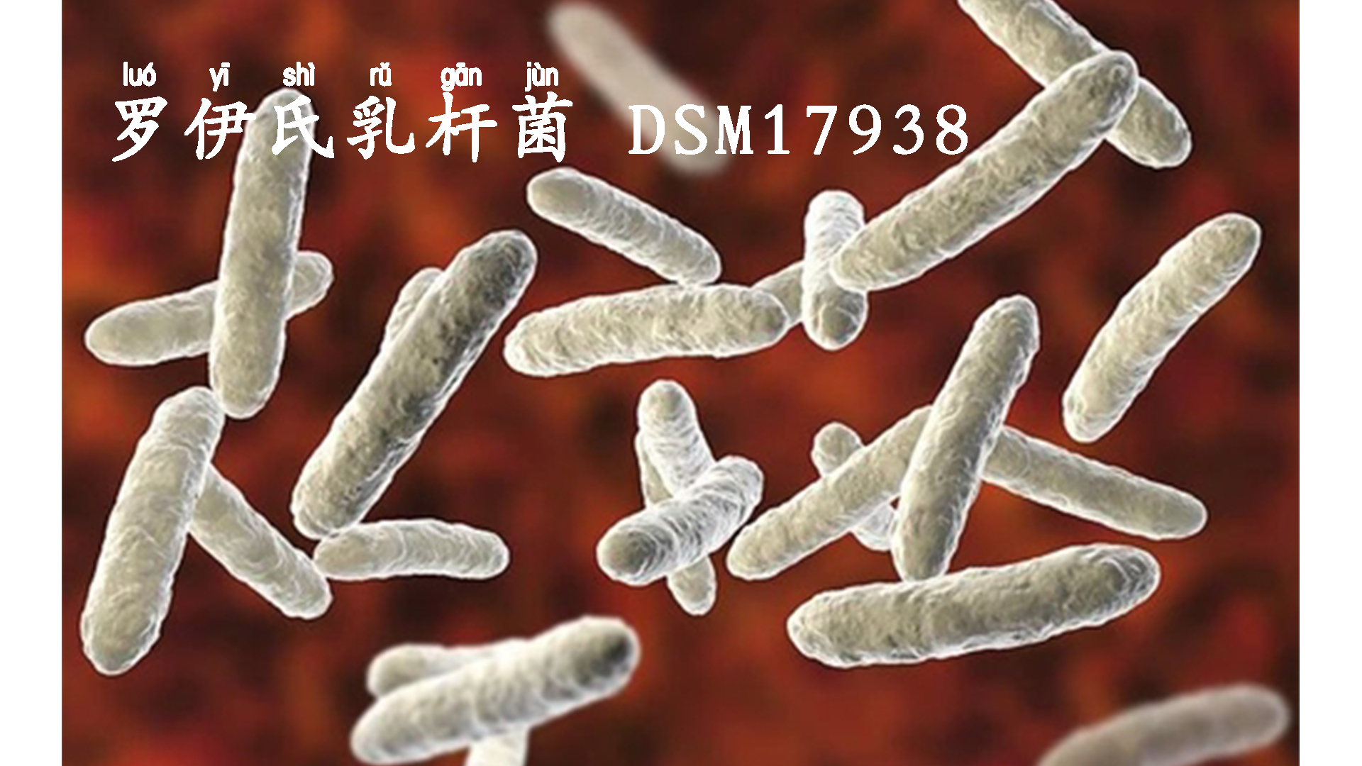 提高免疫力从宝宝抓起,给小孩提高抵抗力和免疫力