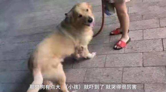 孩子被狗狗吓到了怎么处理,宝宝被自家狗狗咬破皮了但没出血