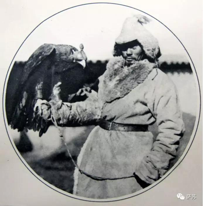 阿拉伯土豪买飞机,阿拉伯土豪买猎鹰