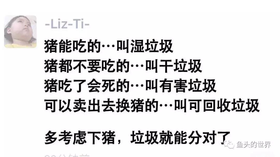 上海人谈上海高考,上海垃圾分类中学生