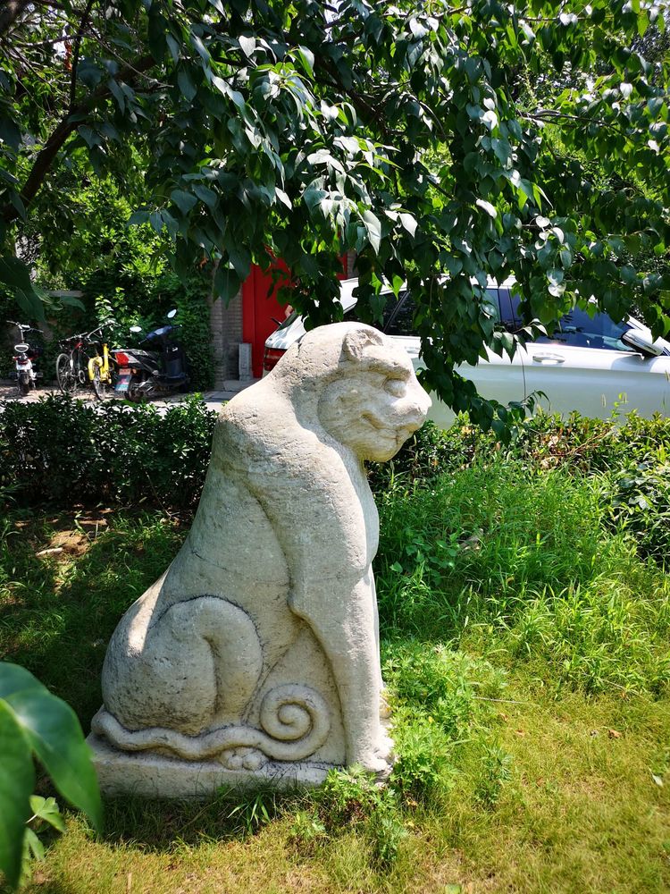 漫步北大校园,北大印象图片