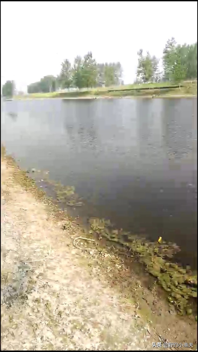 周口商水汾河钓鱼,周口汾河钓鱼最佳地点