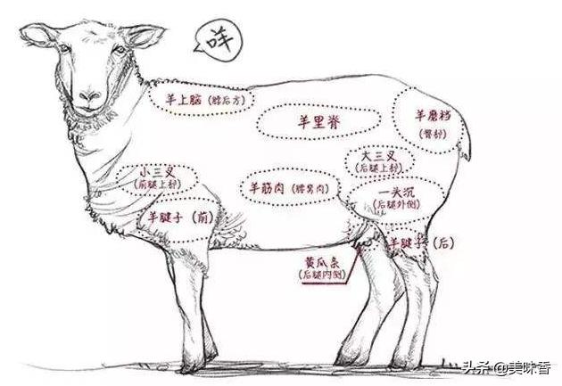 怎么治疗羊铜中毒,羊钴缺乏什么症状