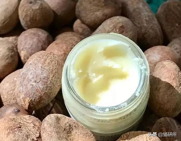 猫肉垫干裂不让人碰,猫肉垫黑色干裂