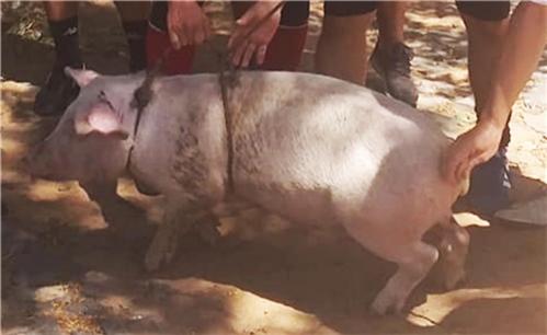 小罗进监狱落魄的时候,小罗巅峰时期成长为足球精灵