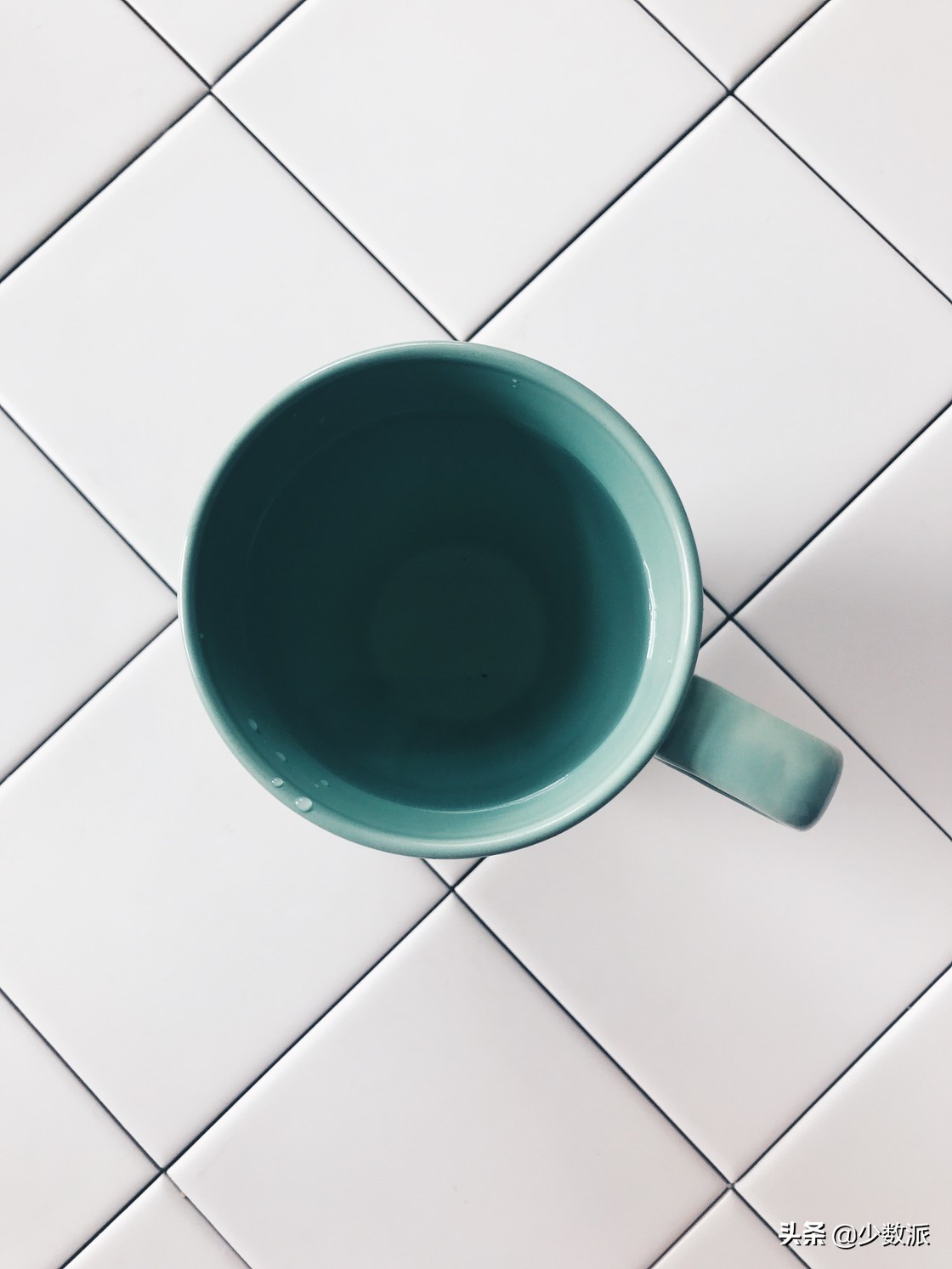 新手如何学会用苹果手机拍好照片,如何拍100张照片苹果