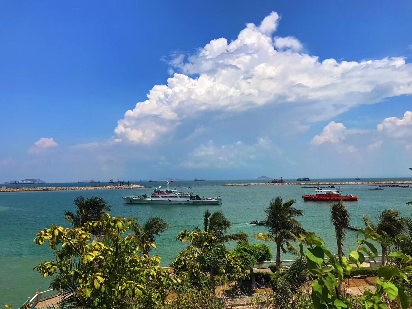 鐝犳捣妗傚北宀涙皯瀹夸环鏍艰〃,鐝犳捣娴峰矝娓告灞卞矝