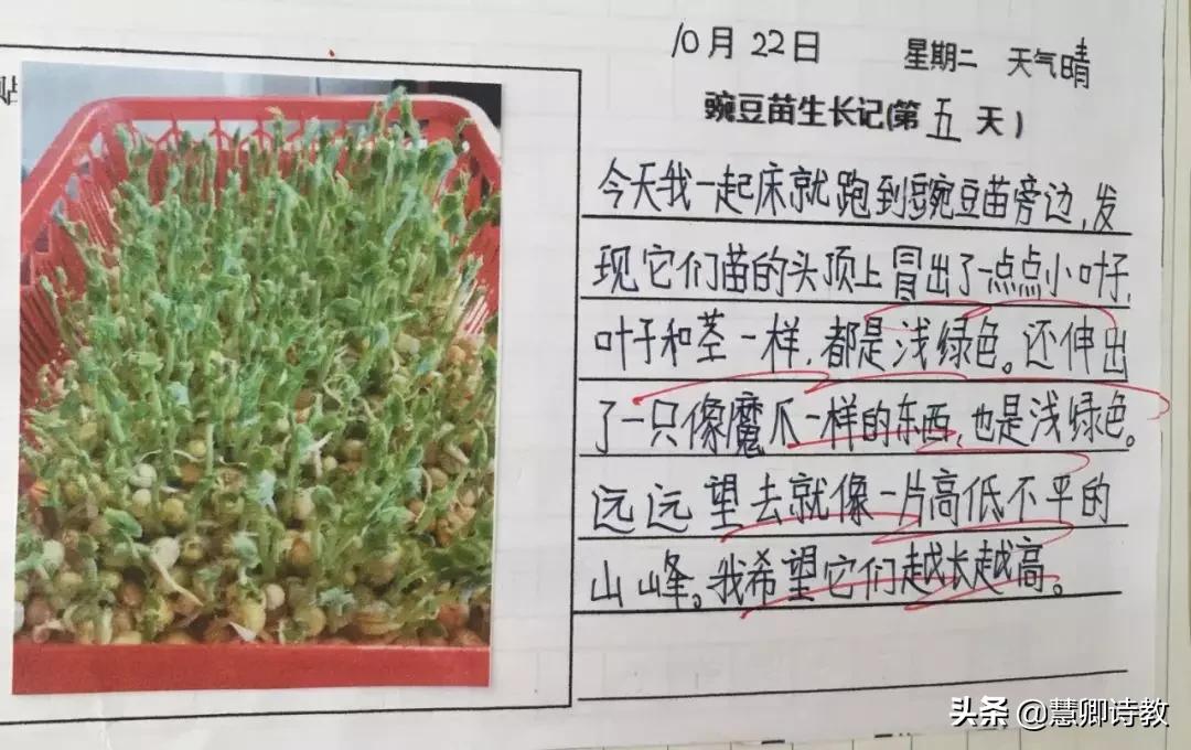 学霸笔记四年级知识点,四上语文第一单元知识点