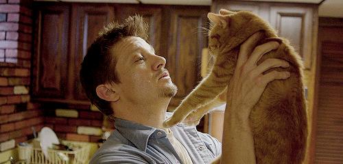 猫咪生气怎么讨好它,猫咪生气了会有什么表现