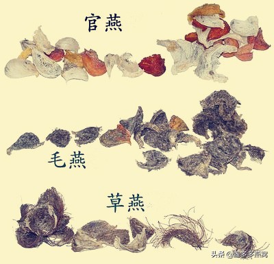 马来西亚燕窝辨别真假,雨季燕窝怎么辨别真假