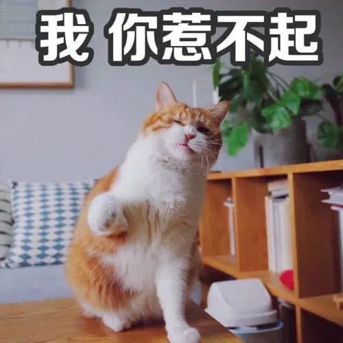 蟑螂为什么杀不干净,微波炉杀不死蟑螂