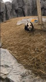 我在学校超市买了一包南京煊赫门收了我19块，我该怎么举报