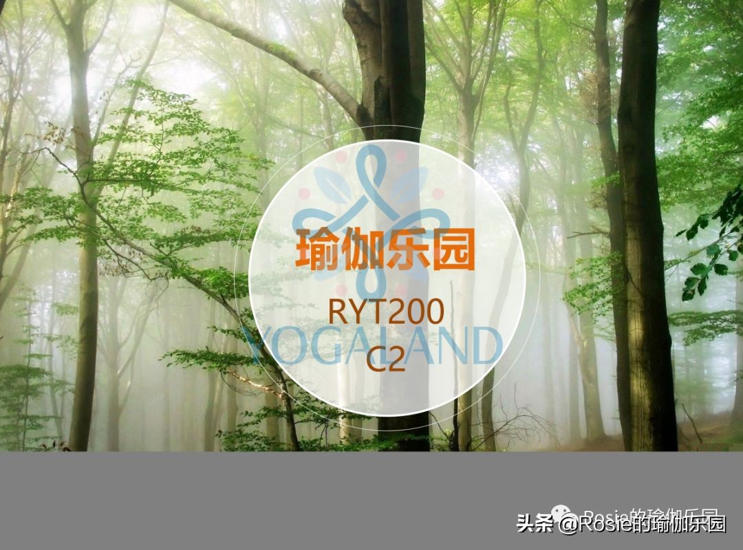 瑜伽小白如何在家自己练瑜伽,瑜伽零基础入门的基本体式有哪些