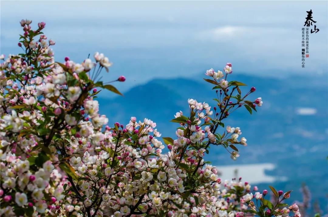 春水初生林初盛春,春水初生林初盛