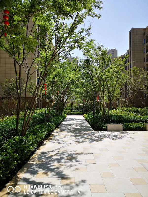 碧桂园欧洲城风貌,碧桂园欧洲城现房价格