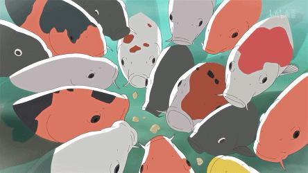 蝴蝶鲤容易生病的原因,警惕成长环境对我们的影响