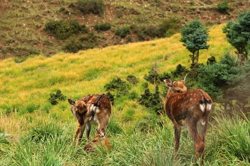 全国唯一用铜命名的城市,中国唯一以金属命名的城市