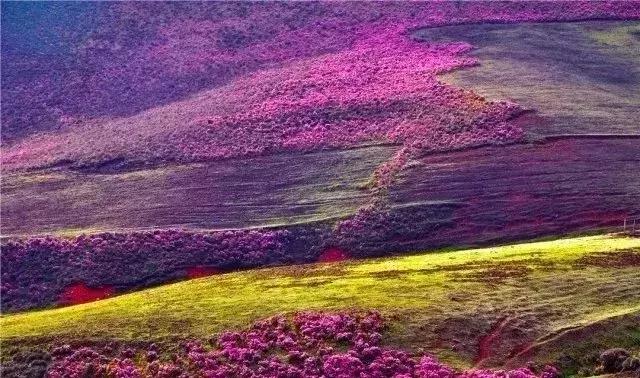 去兰坪旅游值得逛的地方,去了一次就喜欢的城市