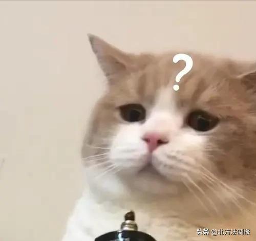 男子洗浴中心被抓,央求民警:让我汗蒸完可好?