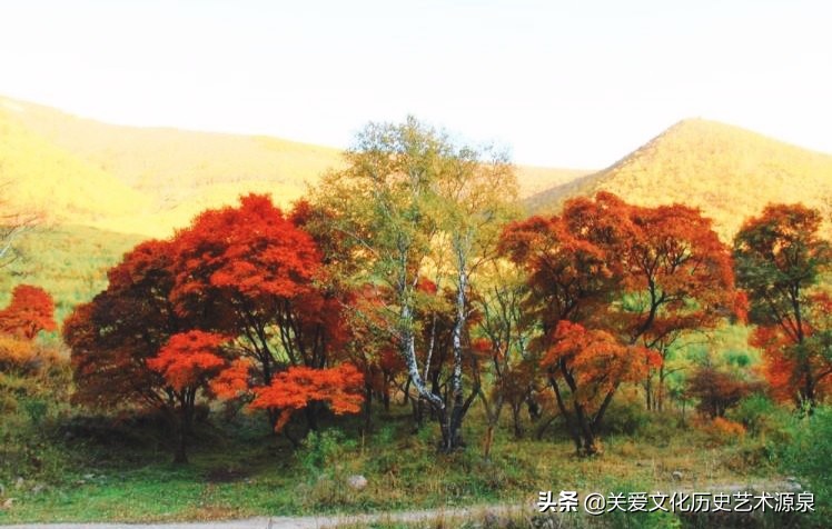 贺新年诗词2019,2023年新年诗词贺词大全集