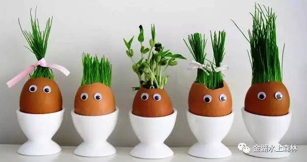 亲子游推荐地金湖水上森林景区,金湖水上森林景区攻略视频