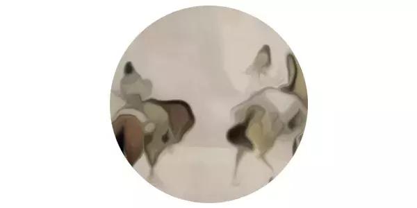 见字古诗读音,古诗词中见如何读