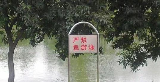 有错字的广告牌,有错字的标牌广告