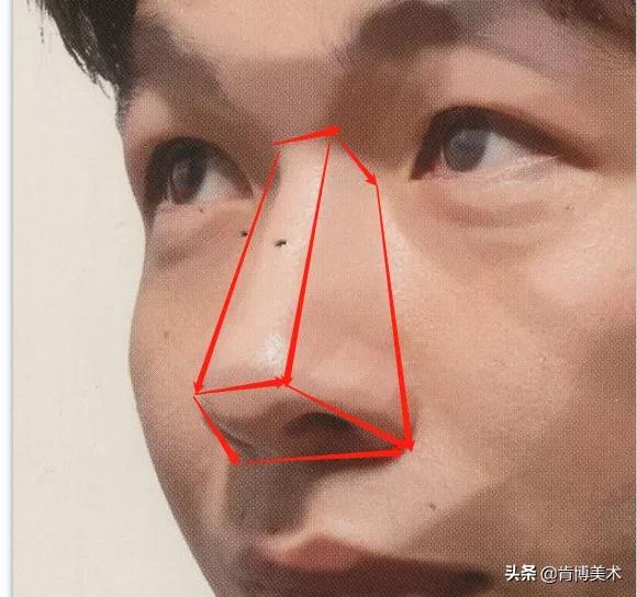 鼻子看起来很塌又不塌,鼻子看着没立体感