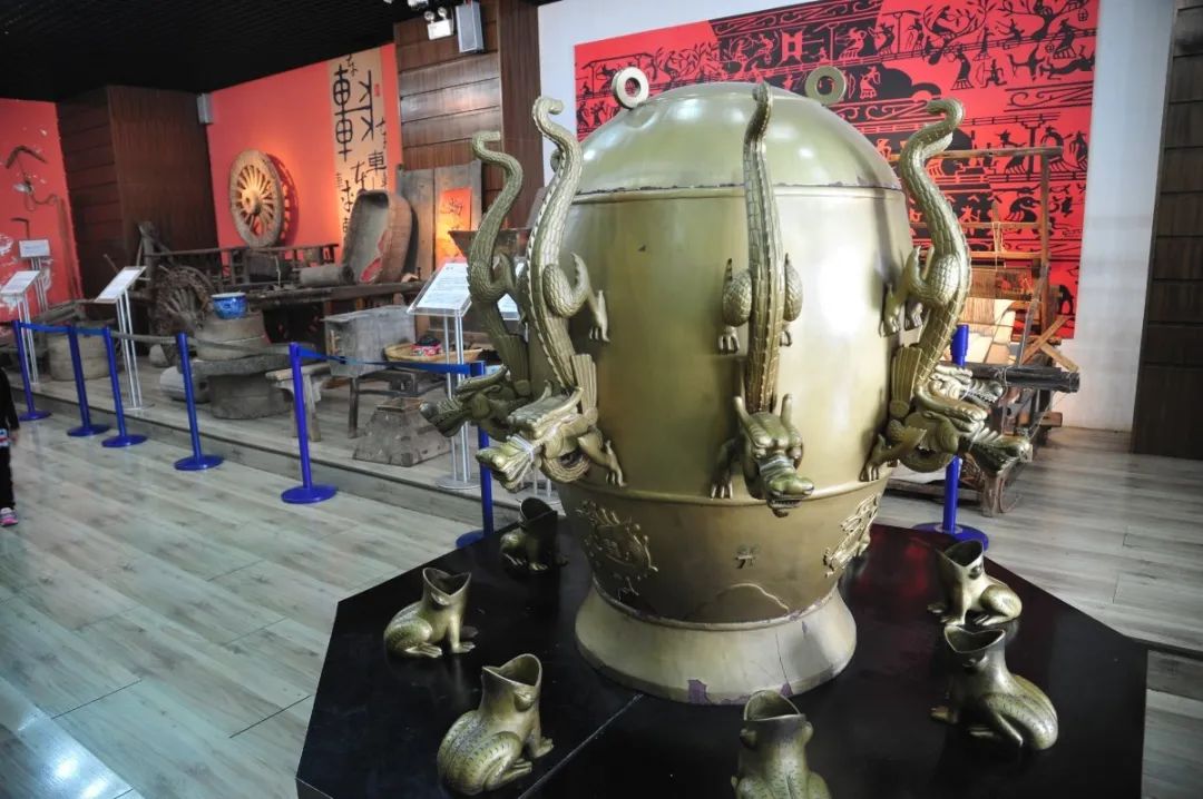 免费！森林物语•虫现江湖，“热带雨林”空降济南！